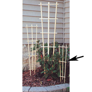 Grower Trellis 2' Standard Natural - 25 per pack - Supports